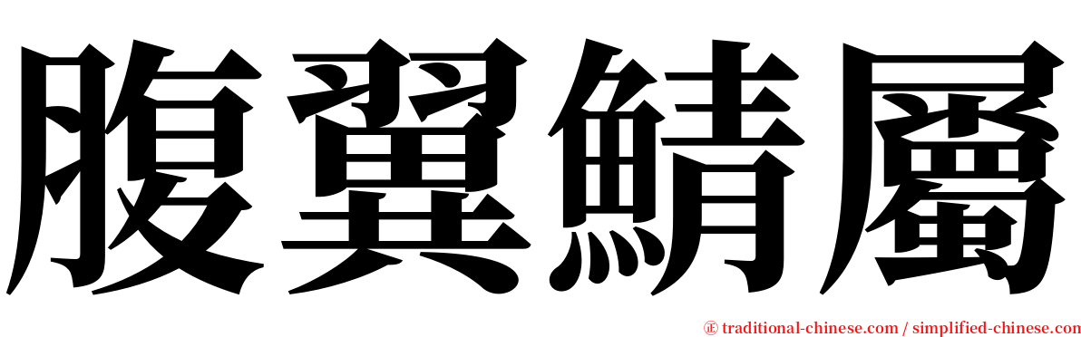 腹翼鯖屬 serif font
