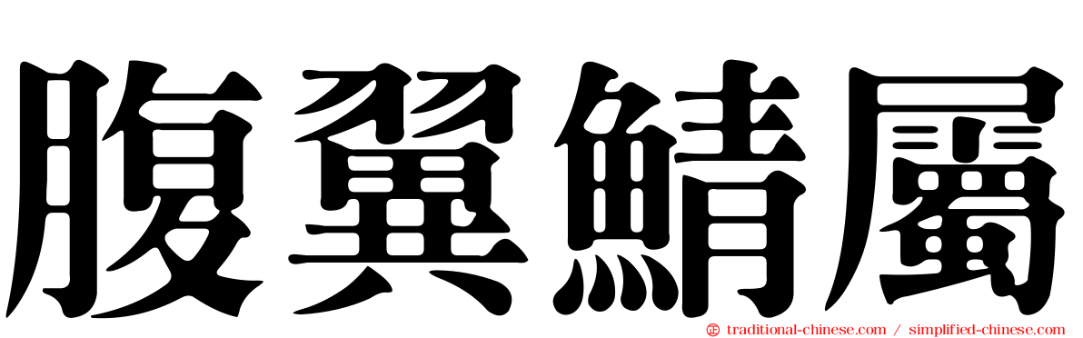 腹翼鯖屬