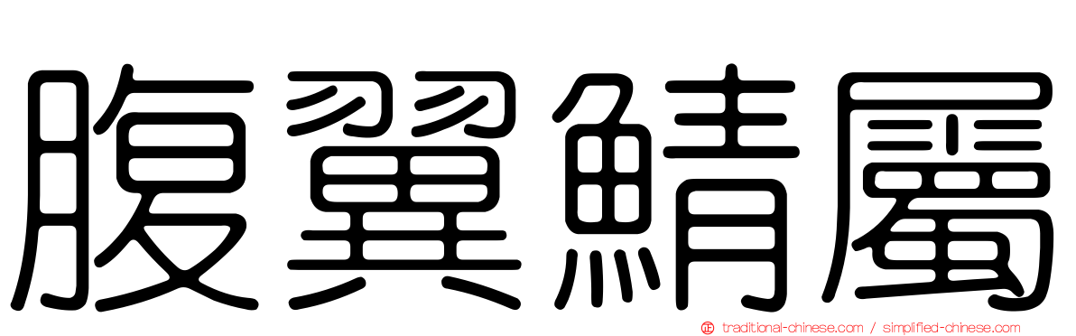 腹翼鯖屬