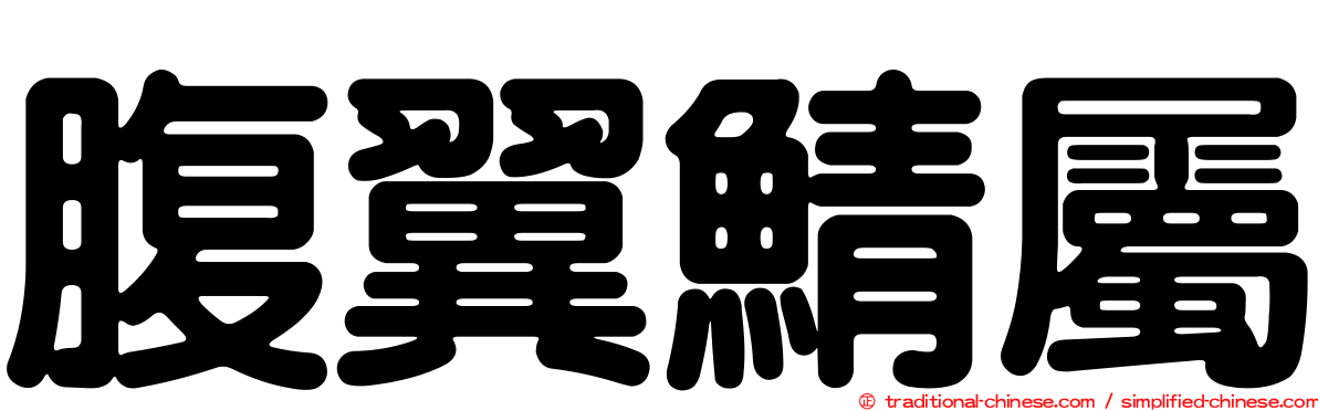 腹翼鯖屬