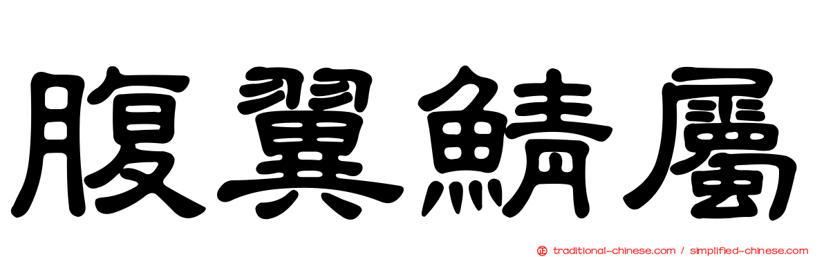 腹翼鯖屬