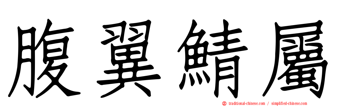 腹翼鯖屬