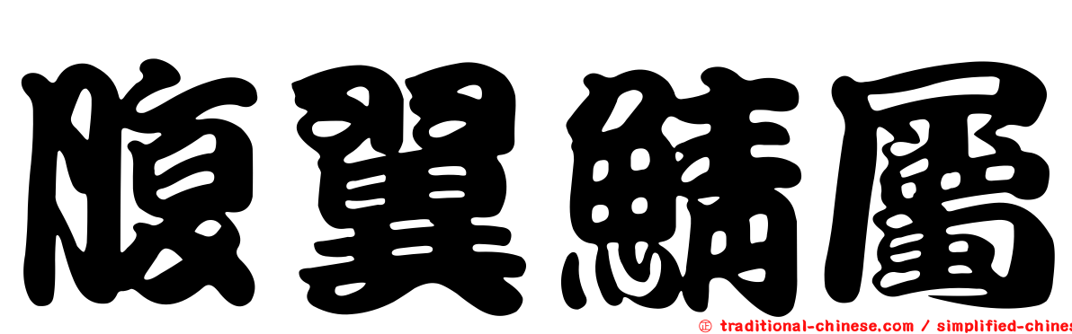 腹翼鯖屬