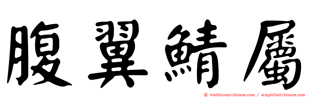 腹翼鯖屬