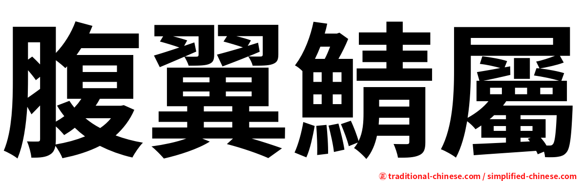 腹翼鯖屬