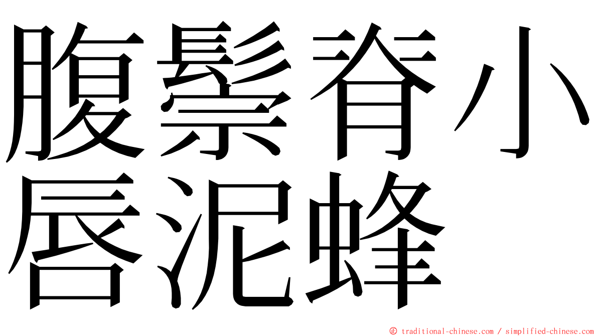 腹鬃脊小唇泥蜂 ming font