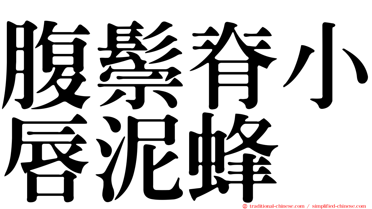 腹鬃脊小唇泥蜂