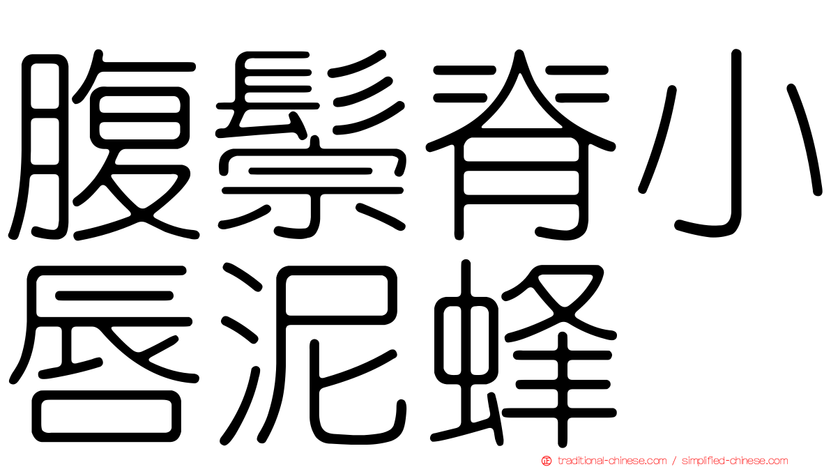 腹鬃脊小唇泥蜂