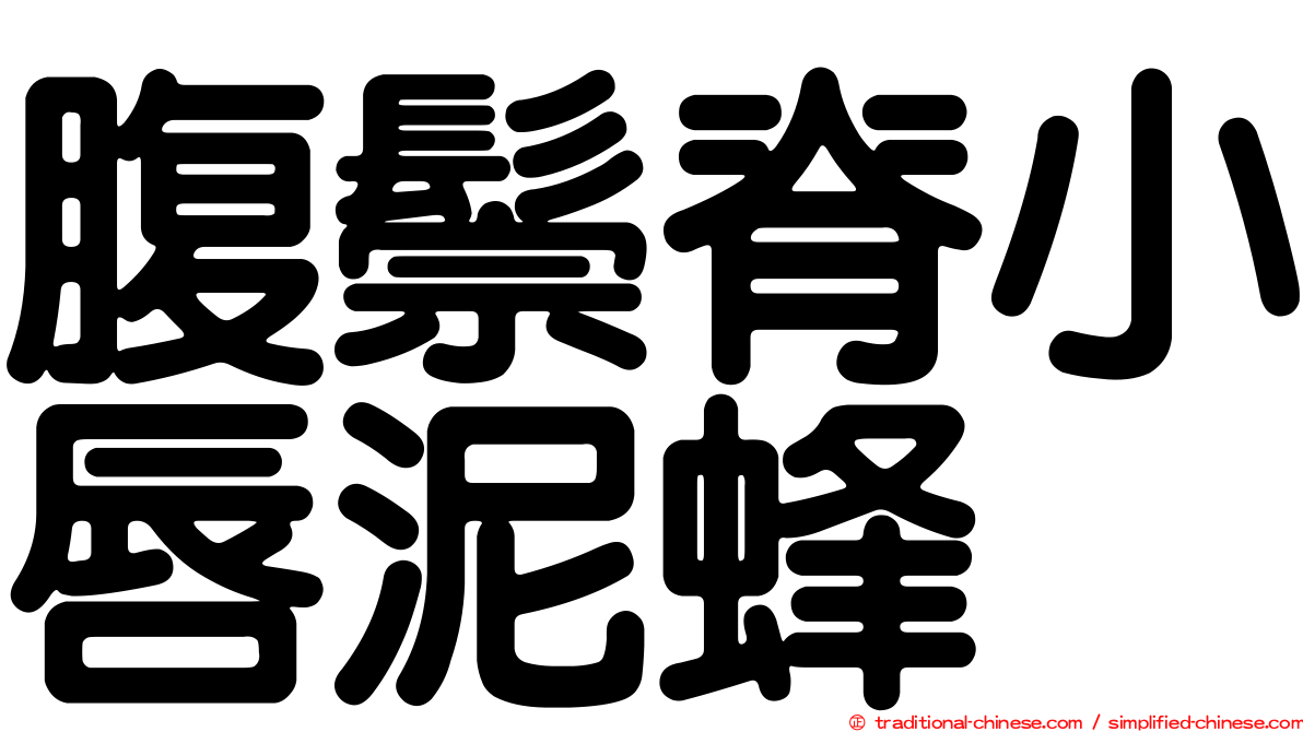 腹鬃脊小唇泥蜂