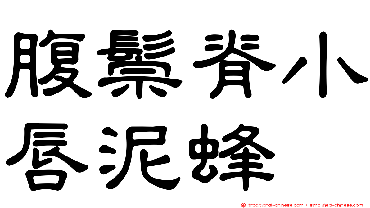 腹鬃脊小唇泥蜂