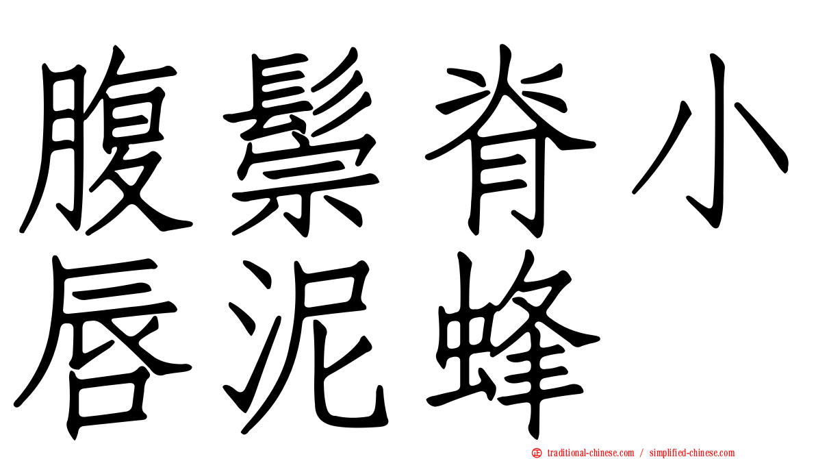 腹鬃脊小唇泥蜂