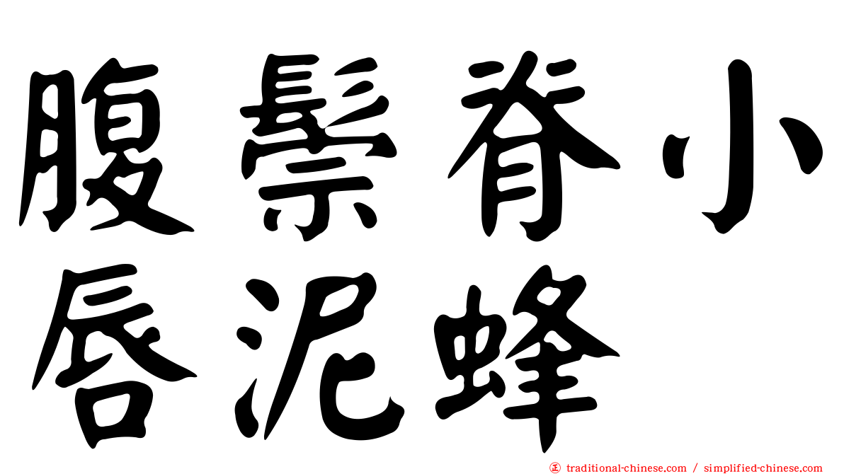腹鬃脊小唇泥蜂