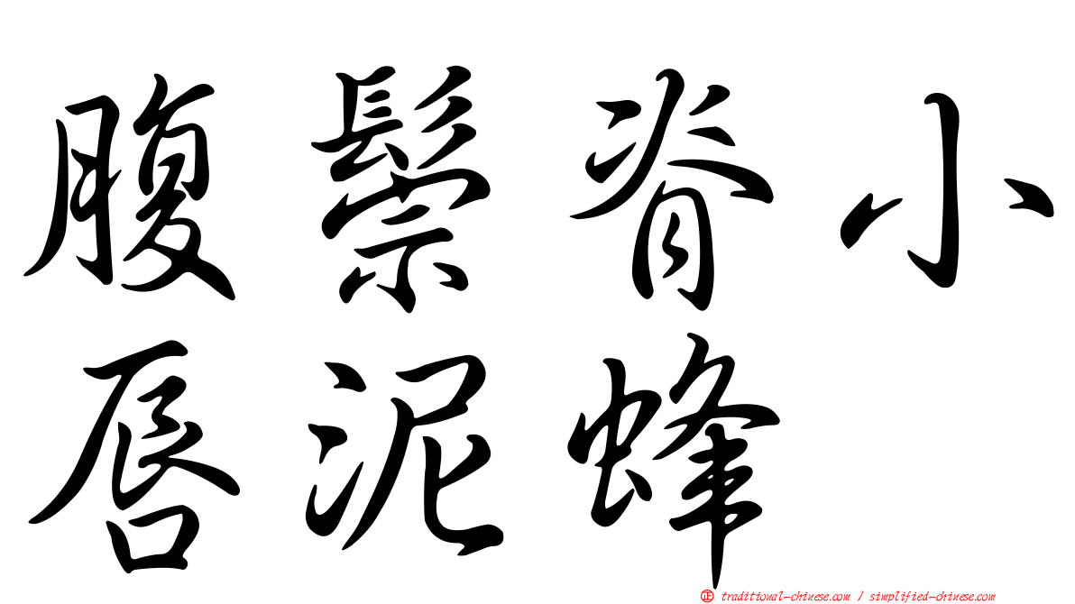 腹鬃脊小唇泥蜂