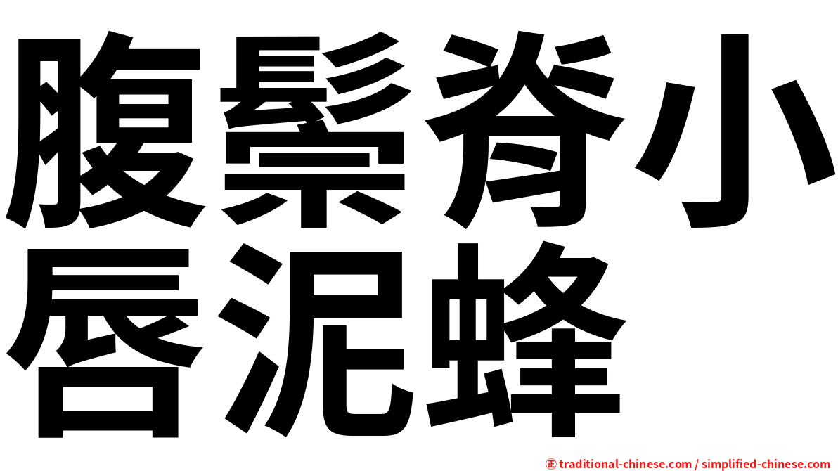 腹鬃脊小唇泥蜂