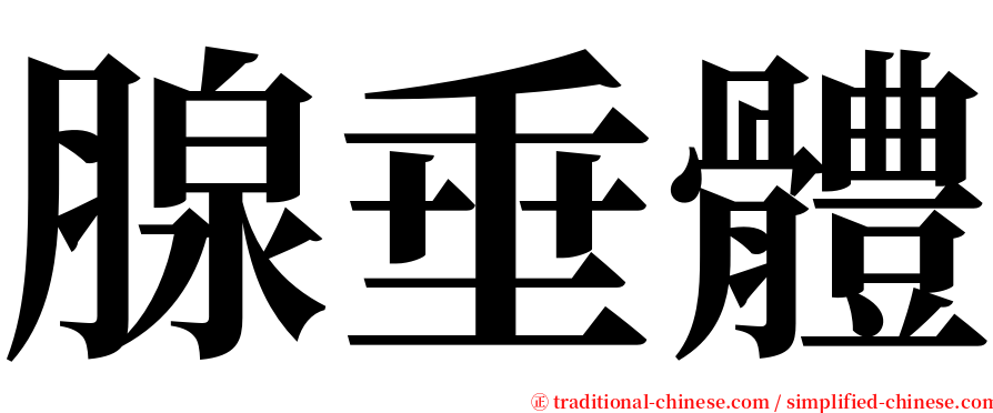 腺垂體 serif font