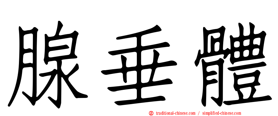 腺垂體