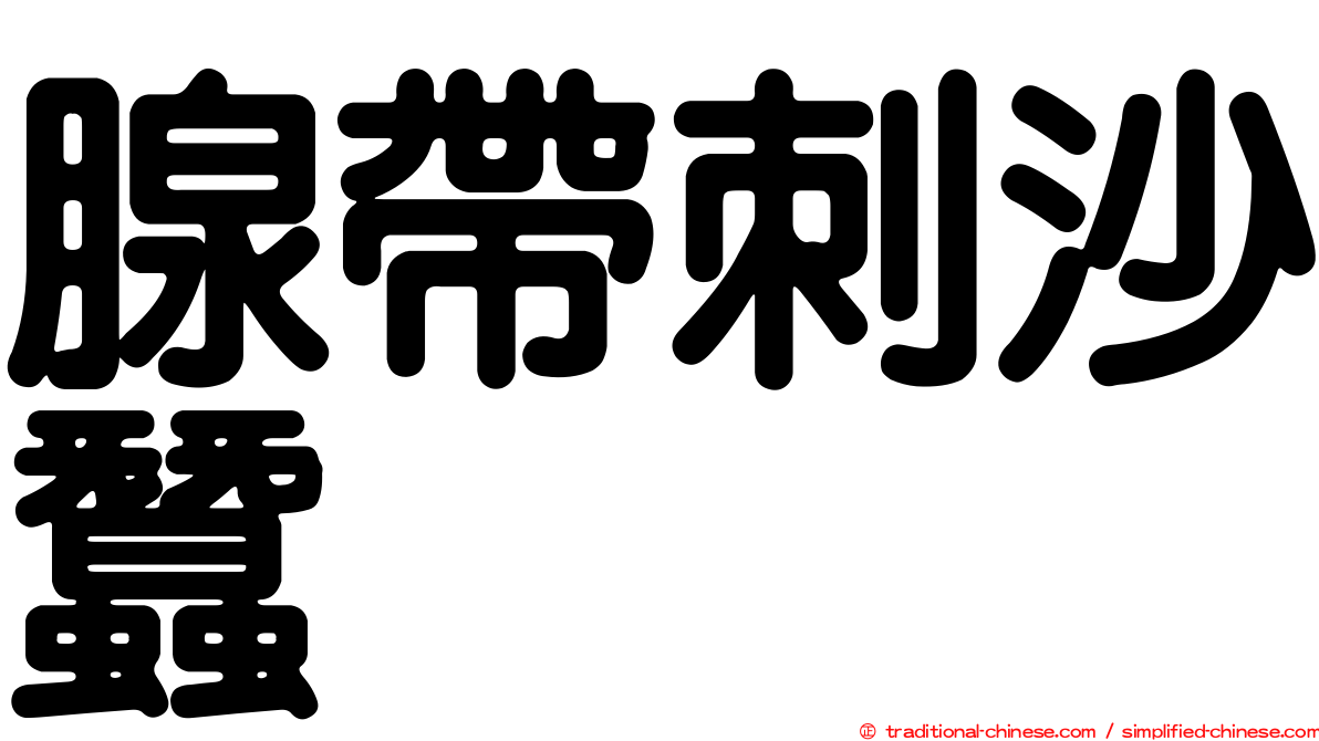 腺帶刺沙蠶