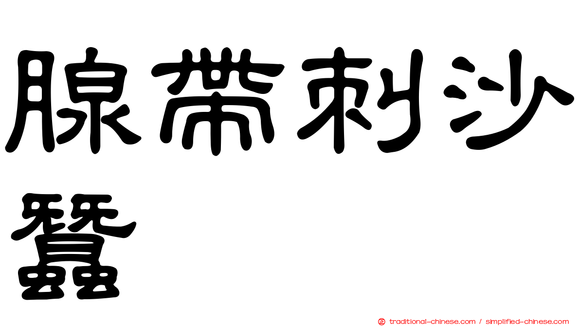 腺帶刺沙蠶