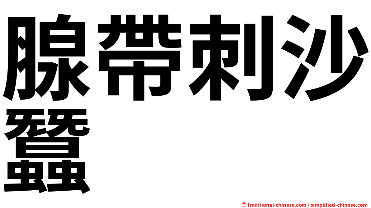 腺帶刺沙蠶