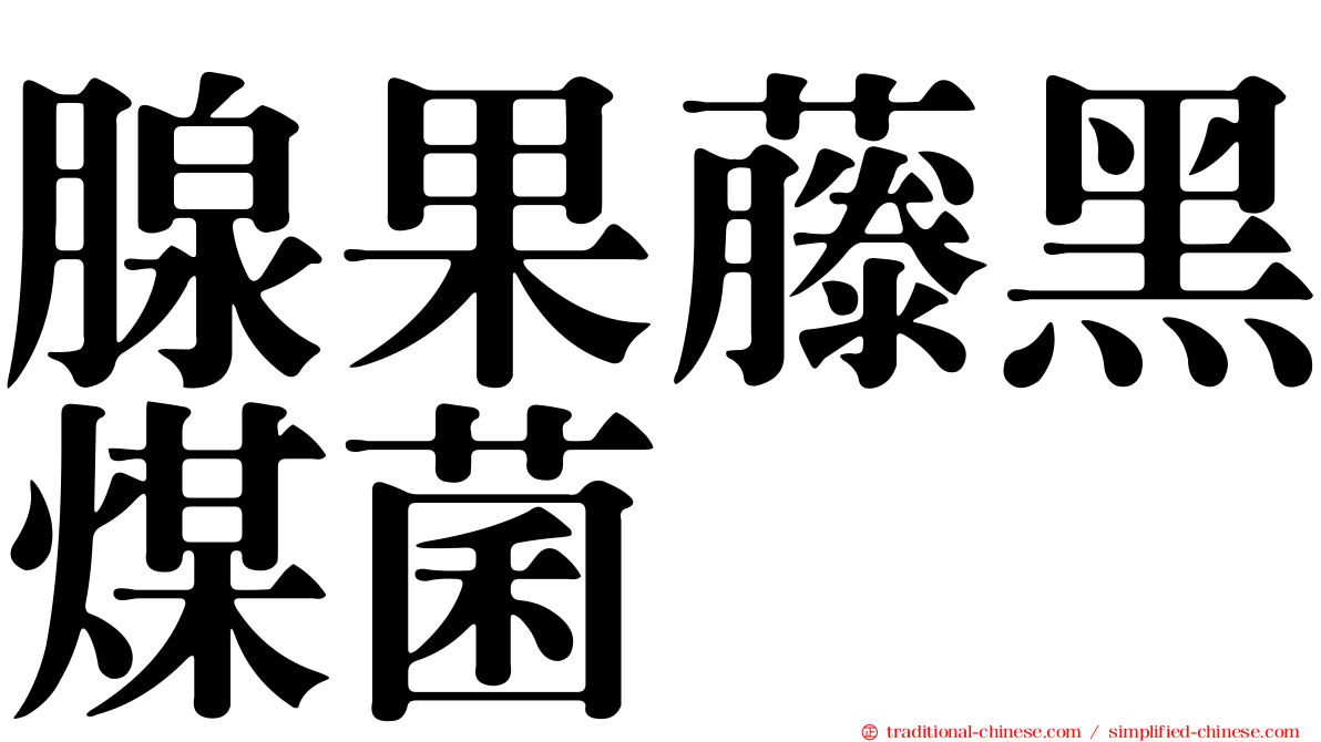 腺果藤黑煤菌