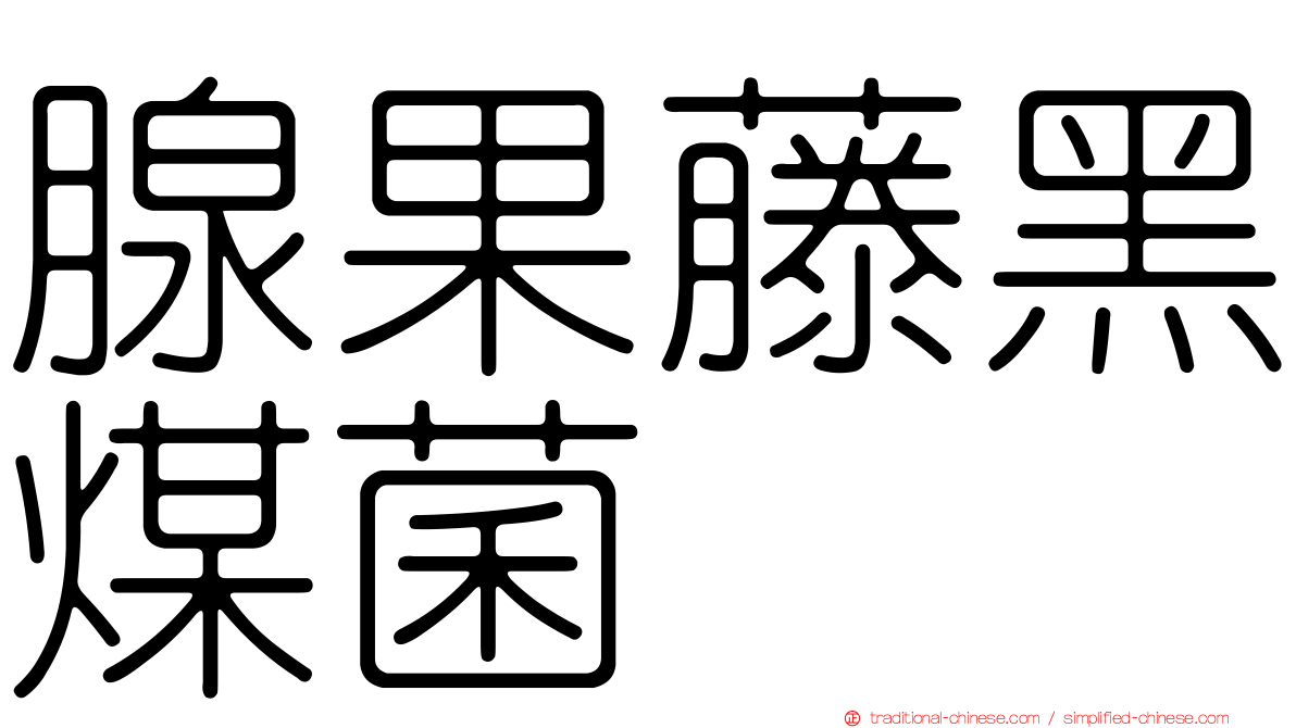腺果藤黑煤菌