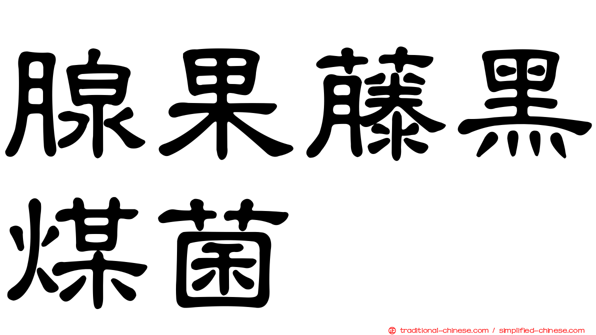 腺果藤黑煤菌
