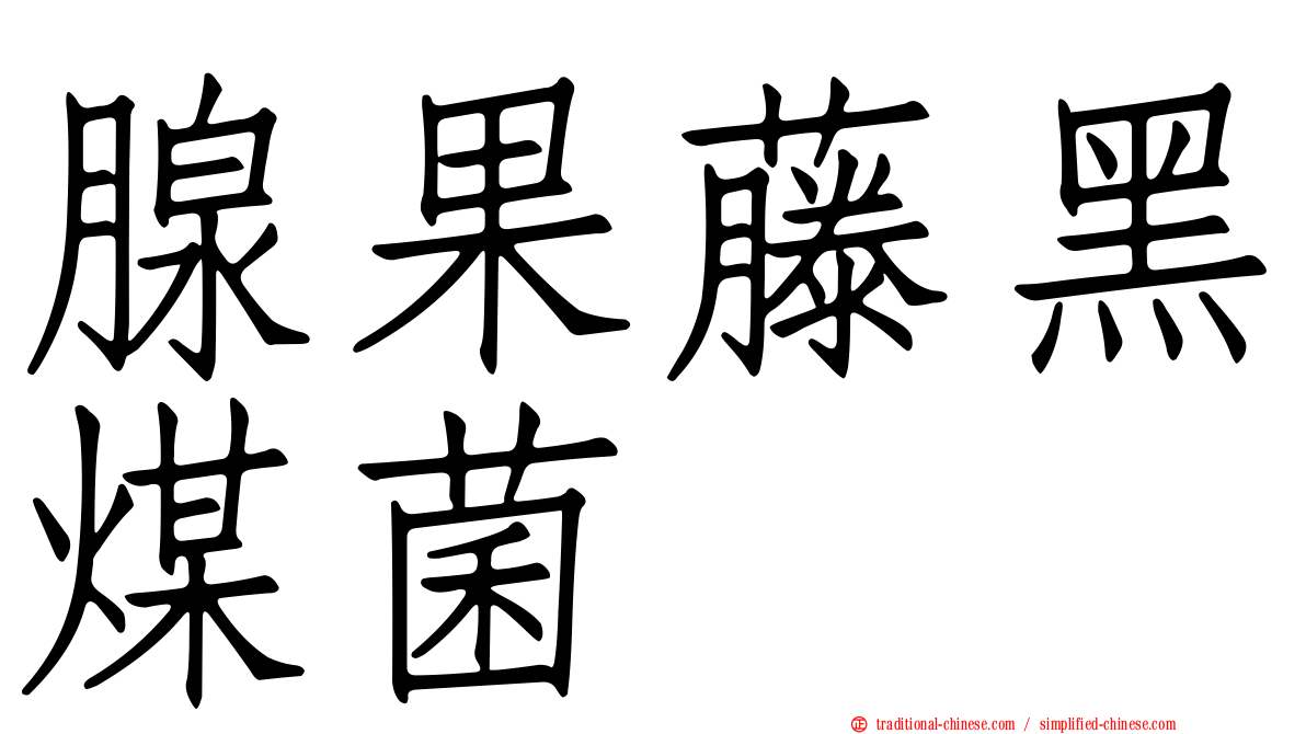 腺果藤黑煤菌