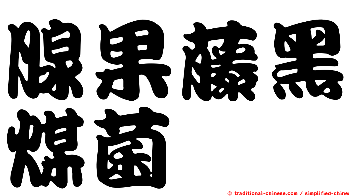 腺果藤黑煤菌