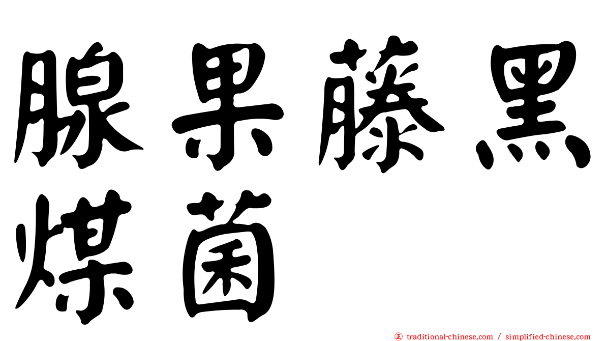 腺果藤黑煤菌