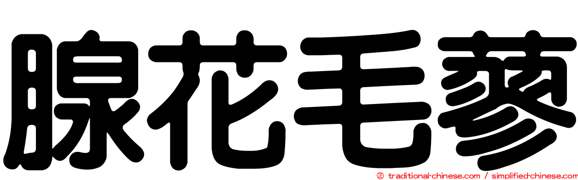 腺花毛蓼