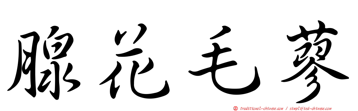 腺花毛蓼