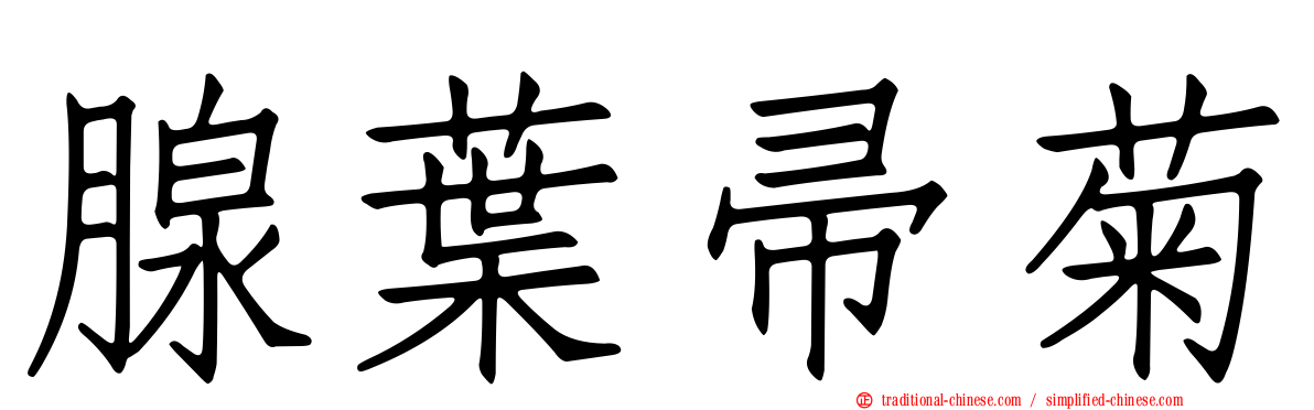 腺葉帚菊