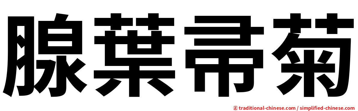 腺葉帚菊