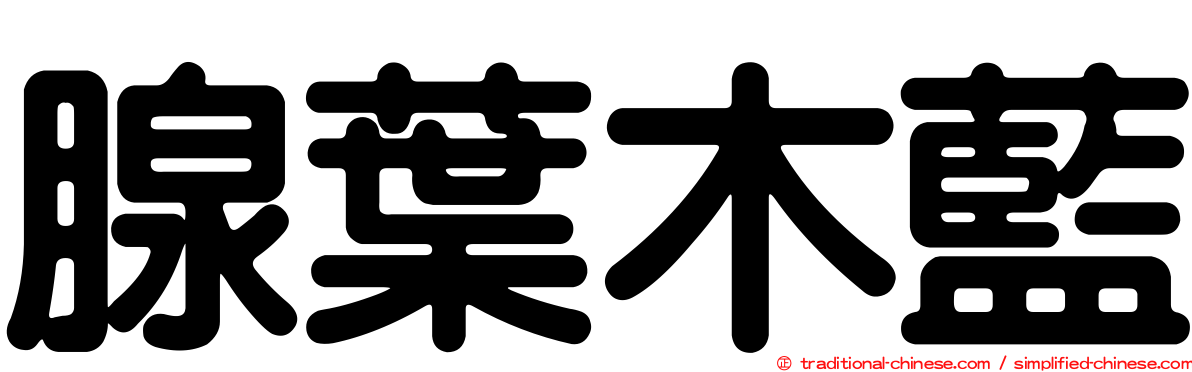 腺葉木藍