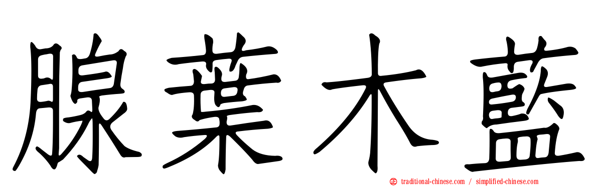 腺葉木藍