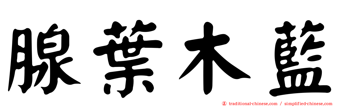 腺葉木藍