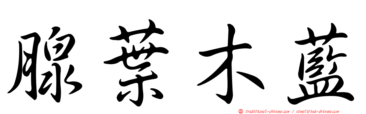腺葉木藍