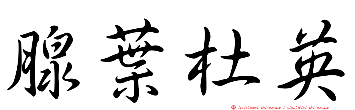 腺葉杜英