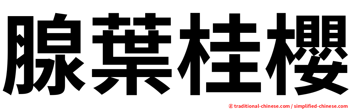 腺葉桂櫻