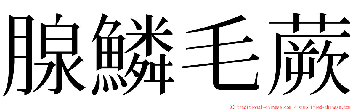 腺鱗毛蕨 ming font