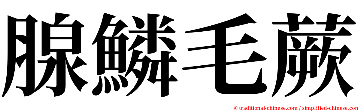 腺鱗毛蕨 serif font