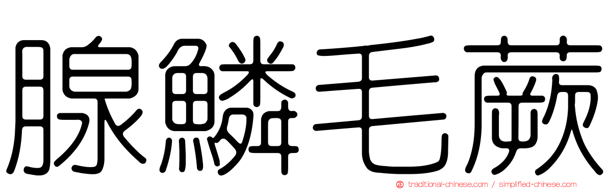 腺鱗毛蕨