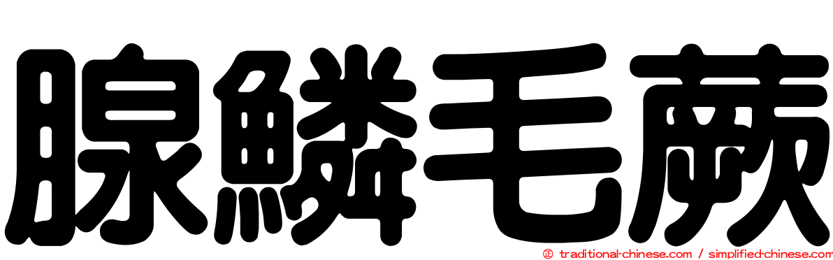 腺鱗毛蕨