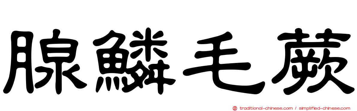 腺鱗毛蕨