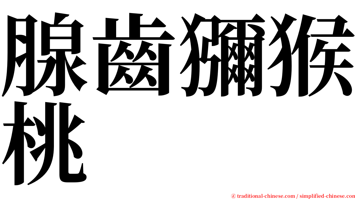 腺齒獼猴桃 serif font