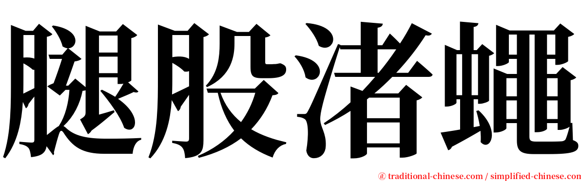 腿股渚蠅 serif font