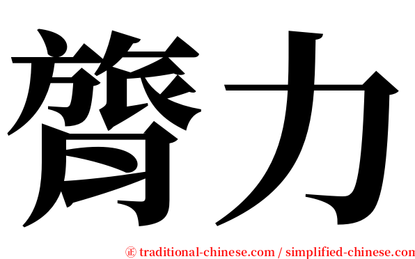 膂力 serif font