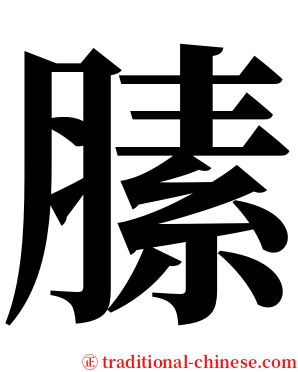 膆 serif font