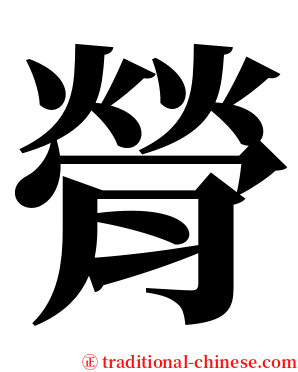 膋 serif font
