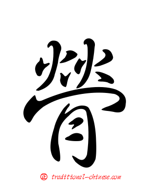 膋